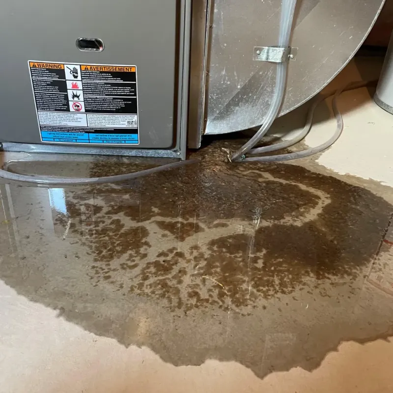 Appliance Leak Cleanup in Lavon, TX